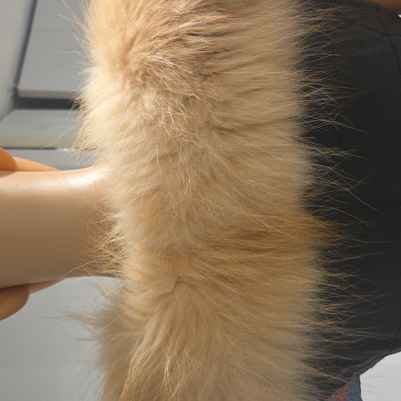 Leather vest with racoon collar - Picture 13 of 17